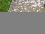 image of grave number 145382